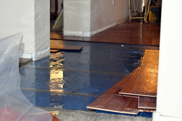 Professional Burst Pipe Cleanup technician working in Buchanan, VA